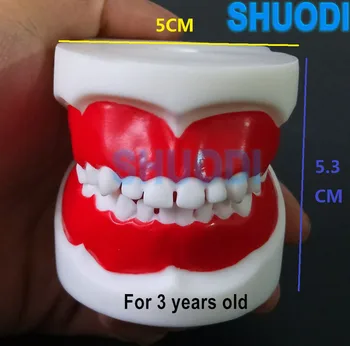 1 parça için Standart Diş Eğitim Modeli Çocuk Diş Çocuk Diş Modeli Çocuk Diş Diş Modeli Öğretim Okuyan Ağız Bakımı