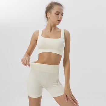 Artı Boyutu Katı Renkler Kadınlar Dikişsiz Yoga Seti Hızlı Kuru Eğitim Spor Spor yoga yeleği Sıkı Yüksek Bel Yoga Pantolon Şort