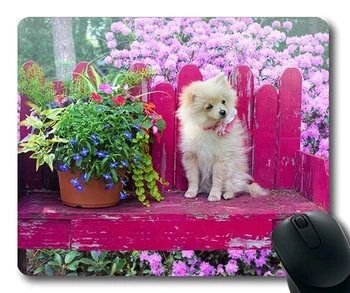 Güzel Pug Köpek Oyun Mouse Pad, Köpek Yavrusu Pomeranian Hayvan Pet Sevimli Köpek, köpekler fare mat