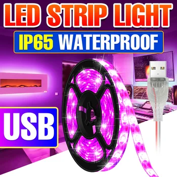 LED ışık Şeridi 5V USB Esnek Lamba Şerit 2835 LED Su Geçirmez Şerit 50cm 1m 2m 3m LED Dokunmatik Karartma iç mekan aydınlatması Dekorasyon