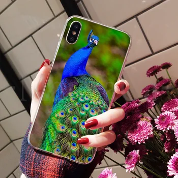 MaiYaCa Güzel Kuş Tavuskuşu Tüyleri Renkli Sevimli Telefon Aksesuarları kılıf Apple iPhone 8 7 6 6S Artı X XS max 5 5S SE XR 2