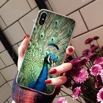 MaiYaCa Güzel Kuş Tavuskuşu Tüyleri Renkli Sevimli Telefon Aksesuarları kılıf Apple iPhone 8 7 6 6S Artı X XS max 5 5S SE XR 3